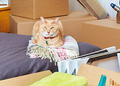 Huile d'olive ou valériane