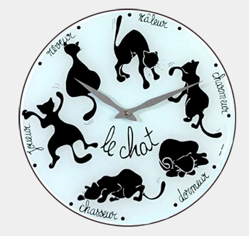 Comportements temporels du chat