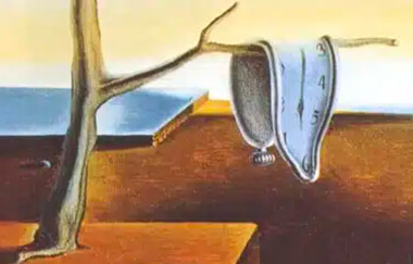 Chat caché en observateur