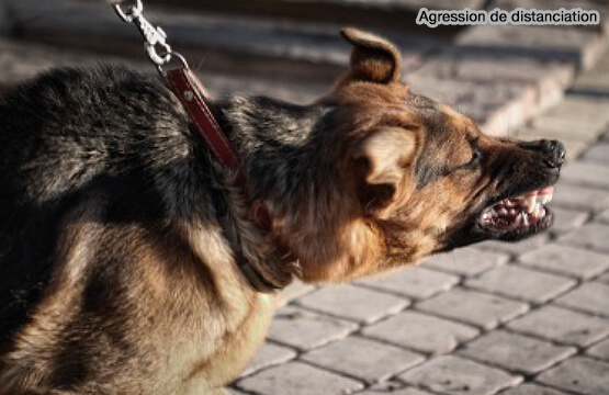 Agression de distancement