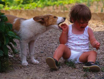 Agression d'un enfant