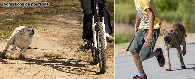 Agression de poursuite 