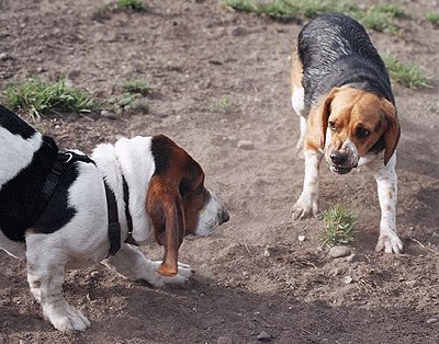 Menace de l'agression défensive 
