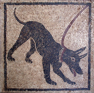 cave canem