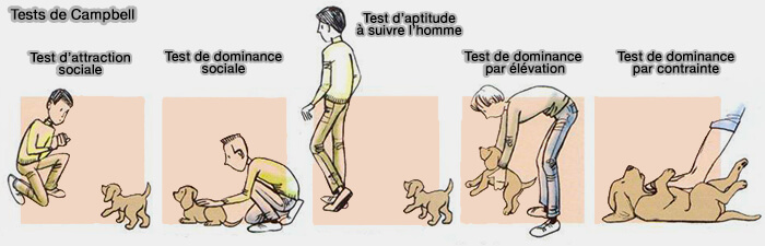 Les cinq tests de Campbell