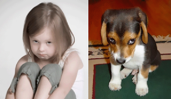 Enfant et chien jouant la culpabilité