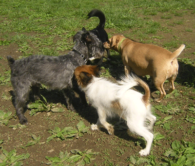 Rencontres et communications visuelle et olfactive