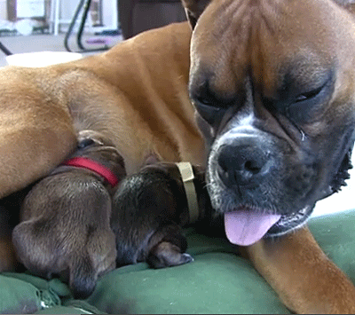 Phase 1 : phase préparatoire