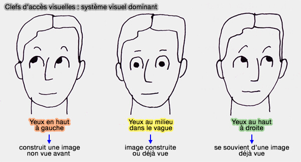 Clefs d'accès visuelles de la PNL : système visuel dominant