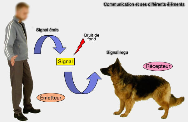 Éléments intervenant dans la communication