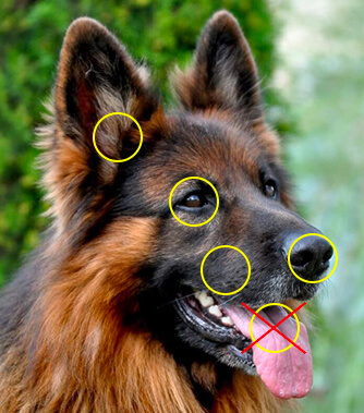 Les quatre grands types de communication