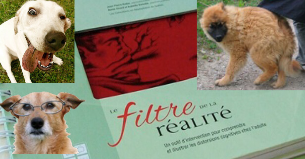 Filtres défaillants