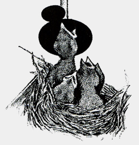 Quête de nourriture