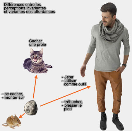 Affordances et perception