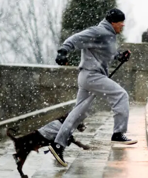 Rocky montant l'escalier