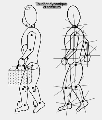 Toucher dynamique et tenseurs