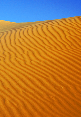 Lignes dans le désert