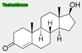 Structure de la testostérone