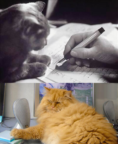 Main de Colette et actualisation