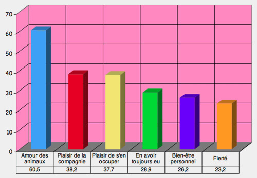 Apports du chat à l'Homme