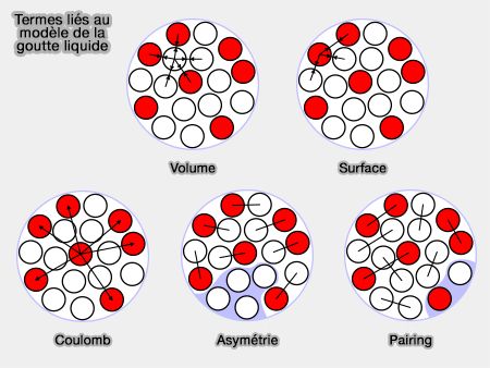 Termes liés au modèle atomique de la goutte liquide