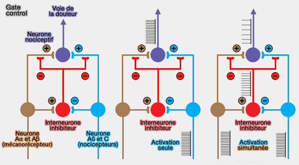 Gate control (circuit de blocage ou portillon)