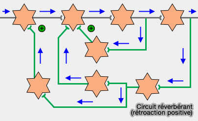 Circuit réverbérents (rétroaction positive)