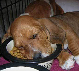 Manque de motivation