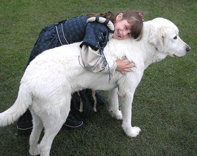 Communication tactile homme/chien