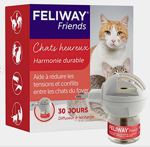 FELIWAY® Friends
