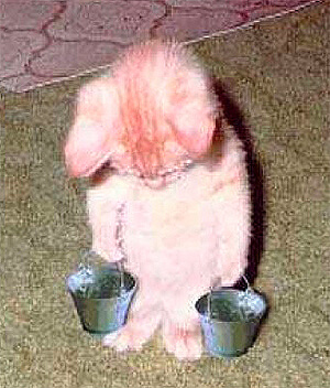 Malpropreté et punition