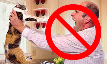 Punition positive inappropriée